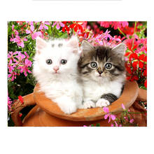 Design completo 5d diy pintura diamante casal gato redondo strass imagem bordado animal mosaico ponto cruz casa decoratio 2024 - compre barato