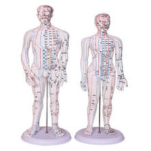 50CM Male Lettering acupuncture point body mannequin of acupuncture, Medical Research massage reflex zone teaching model C518 2024 - buy cheap