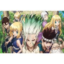 Nice Dr. Stone Anime Poster Silk Fabric Wall Art Poster Print Painting Nature Decoration Pictures Modern Home Decor 2024 - buy cheap