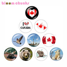 Canada   10pcs mixed 12mm/18mm/20mm/25mm Round photo glass cabochon demo flat back Making findings C22654 2024 - buy cheap
