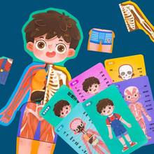 Детские познавательные карточки для человеческого тела, деревянные головоломки, веселые, биологические, естественные Обучающие Игрушки для раннего развития, подарки на день рождения для детей 2024 - купить недорого