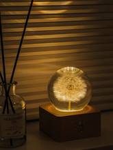 Dandelion espécime bola de cristal resina base madeira luz da noite presente criativo decoração casa 2024 - compre barato