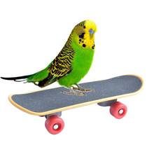 Intelligence Parrot Toys Mini Training Skateboard For Budgies Parakeet Growth Funny Toy Grinding Claw Skateboard* 2024 - buy cheap