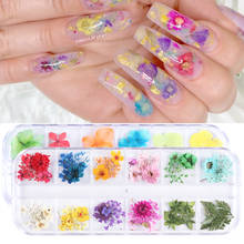 1 Box 3D Dried Flower Nail Decoration Natural Floral Sticker Mixed Dry Flower DIY Nail Art Decals Jewelry UV Gel Polish Manicure 2024 - buy cheap