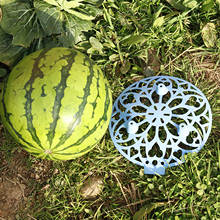 Suporte de moldura de melons e frutas, 5 pçs, planta, flor, vegetais, varanda, suporte de plantio, ferramenta de jardinagem 2024 - compre barato