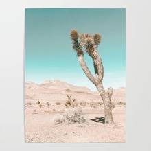 Canvas Painting Vintage Desert Scape Home Decoration Wall Art Prints Modular Picture Cactus Nature Summer Poster For Living Room 2024 - buy cheap