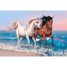 Лошадь плакат холст 30X45cm,40X60cm арт отделочная ткань для дома ткань плакат печати шелковой ткани 2024 - купить недорого