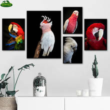 Yumeart branco cockatoo pintura da lona animais australianos papagaio vermelho cartaz da arte da parede impressão pássaro imagem para sala de estar 2024 - compre barato