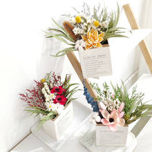 Folhas secas de eucalipto para amantes de flores secas, arranjo de flores em algodão verdadeiro para casa, sala de casamento 2024 - compre barato