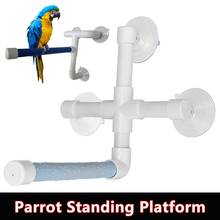 Стоячая платформа для попугаев, настенная присоска, для домашних животных, птиц, для ванной, для душа, стойка для игрушек 2024 - купить недорого