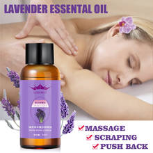 High-purity Organic Lavender Essential Oil Firm Skin Massage Essential Oil Improve sleep Fragrance Essential Oil 30ML 2024 - buy cheap