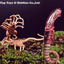 1/6 Scale Alien Predator Chestburster Facehugger Model alien xenomorph alien figure For 12 inches action figure predator Alien 2024 - buy cheap