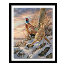 Pheasant on the snow 5D square crafts diamond embroidery needlework diamond painting cross stitch home decor diamond 2024 - buy cheap