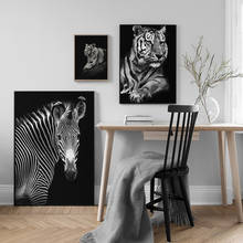 Pintura en lienzo para decoración del hogar, carteles e impresiones de animales en blanco y negro, arte de pared, León, Tigre, cebra, imagen moderna para sala de estar 2024 - compra barato