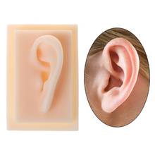 Modelo humano de silicona blanda para el oído izquierdo, herramienta de práctica de acupuntura de tamaño real para el estudio y la ciencia médica 2024 - compra barato