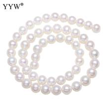 Grade AAA Natural White 7-8mm Cultured Round Freshwater Pearl Beads High Quality 2019 Approx0.8mm Sold Per Approx 15 Inch Strand 2024 - buy cheap