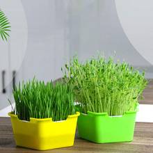 Reusable Breeding Box Sprouts Seedling Tray Plant Seeds Flowers Rooting Ball Hydroponic Set Planting Box Garden Tools 2024 - купить недорого