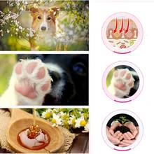 Pet Paw Care Creams Puppy Dog Cat Paw Anti-cracking Care cream Moisturizing Protection Forefoot Toe Safety Health Pet Products 2024 - buy cheap
