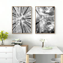 Pintura en lienzo de paisaje de bosque escandinavo, carteles nórdicos e impresiones, imágenes de pared para sala de estar, decoración moderna del hogar 2024 - compra barato