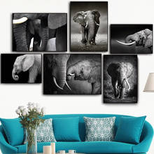 Black and white canvas painting elephant family entertainment poster print mural picture living room home decoration 2024 - buy cheap