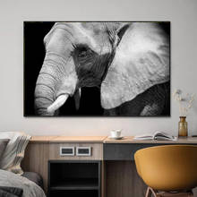 Black and White Elephant Canvas Painting Modern Animal Posters and Prints Cuadros Wall Art Pictures for Living Room Home Decor 2024 - buy cheap