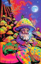 Psicodélico rei cogumelo mágico trippy groovy hippy seda poster adesivo de parede decoração presente 2024 - compre barato