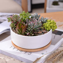 Minimalist White Ceramic Succulent Plant Pot Porcelain Deep Rounded Pot Home Decoration Christmas Gifts 2024 - buy cheap