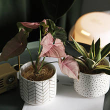 Nordic Round Ceramic Flower Pot Succulents Plants Bonsai Plant Pots Flowerpot Indoor Desktop Succulent Planter Garden Decor Pots 2024 - buy cheap