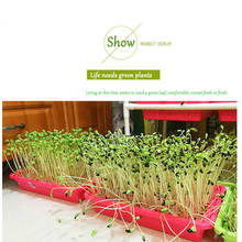 Plastic Hydroponics Seed In Nursery Pot Green Planter Flower Germination Sprout Tray Vegetable Seedling Cat Grass 2019 2024 - buy cheap