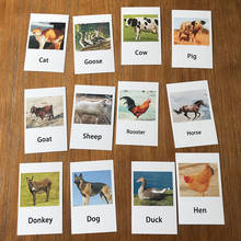 Bebê montessori aves animais cognitivo par cartões puzzle crianças inglês aprendizagem educacional cartão flash brinquedos presente 2024 - compre barato