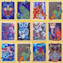 Evershine pintura especial em formato especial diamante coruja bordado com imagem de animais strass exibição completa mosaico arte em diamante 40x50 2024 - compre barato