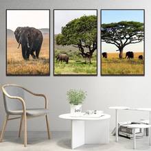 Póster de decoración moderna para el hogar, pintura en lienzo con impresión en Hd, arte de pared para el dormitorio, con diseño de elefante Animal en la hierba 2024 - compra barato