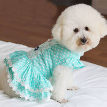 Chaleco de algodón suave para perro, vestido de encaje azul a la moda para perros pequeños y medianos, ropa para cachorros y Chihuahua, Verano 2024 - compra barato