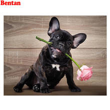 5D Full Square Round Drill Diamond Painting French Bulldog Mosaic Diamond Embroidery Cute Dog Rose Flower Cross Stitch Kit Decor 2024 - buy cheap