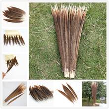 Wholesale 100pcs Natural 4-30inches/10-75 cm Golden Pheasant Tail Feathers wedding,hats, headbands, clothing decoration 2024 - buy cheap