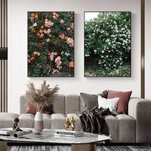 Pintura plantas em tela, rosa, vermelho, branco, rosa, poster floral, impressão, arte, imagem nórdica, parede, decoração para sala de estar 2024 - compre barato