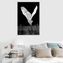 White Bird Animal Poster Canvas Print Painting Wall Art Living Room Home Decoration 2024 - buy cheap