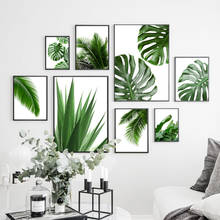 Green Plant Monstera Aloe Palm Leaf Wall Art Canvas Painting Tropical Nordic Posters And Prints Wall Pictures For Living Room 2024 - buy cheap