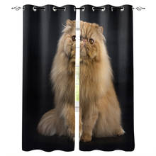 Cortinas de gato persa para habitación de mascotas, decoración de tela Interior, con ojal, para ventana grande, Baño 2024 - compra barato