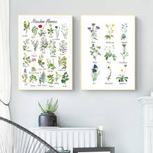 Pintura en lienzo artística de plantas y flores, póster educativo Natural, decoración de pared de guardería botánica, impresiones de imágenes artísticas para habitación de niños 2024 - compra barato