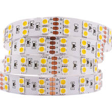 5m 24V 12V 5050 LED Strip Light 120LEDs/M Double Row / Single Row RGB white Flexible LED Lights Waterproof Home Decoration