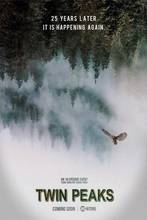 Twin Peaks Movie Art Film Print Silk Poster Home Wall Decor 24x36inch 2024 - buy cheap