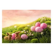 Wild grassland bunny photo backdrops vinyl newborn Easter photography backgrounds for photography Studio props fotografia GE-180 2024 - buy cheap