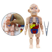 Brinquedo 3d de corpo humano com/órgões anatomy, brinquedos educativos diy para crianças, ferramentas de ensino de demonstração, jogo assustador 2024 - compre barato