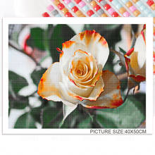 Rosa moderna pintura diamante flor 5d quadrado, adesivo mosaico redondo bordado diamante decoração de casa presente borboleta 2024 - compre barato