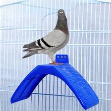 Пластиковая рама для голубей, подставка для принадлежности для голубей птиц, 10 шт. 2024 - купить недорого
