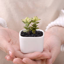 Branco Mini Vaso de Flores Plantador de Bonsai Desktop Ornamentos Vaso de Cerâmica Home Office Decor Fontes Do Jardim Pote Vaso de Plantas Suculentas 2024 - compre barato