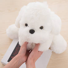 Cute white dog Stuffed Toys Plush Animals Children Soft Kawaii Pet Doll Cute Kids Toys for Girls Boys birthday gift 25cm 2024 - buy cheap