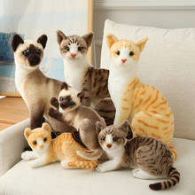 Kawaii simulação gato brinquedos de pelúcia animais de pelúcia brinquedos das crianças brinquedos do bebê conforto brinquedos decoração para casa presentes de natal 2024 - compre barato
