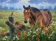 Horse Birds-Animal Counted Cross Stitch Kit Needlework Embroidery Crafts 14ct Unprinted Aida DIY Arts Handmade Home Decor 2024 - buy cheap